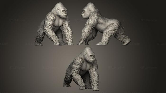 Animal figurines (Gorila, STKJ_0053) 3D models for cnc